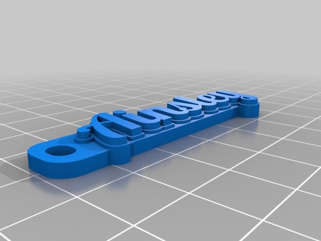 llavero organización personalizado 3D print model - Mito3D