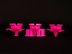 jangadas suporta flores A impressão 3d de testes makerbotedu makerbotintheclassroom printkit imprimir kit 3d print model - Mito3D