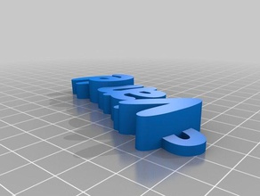 vianey keyring organization customized 3d print model - Mito3D