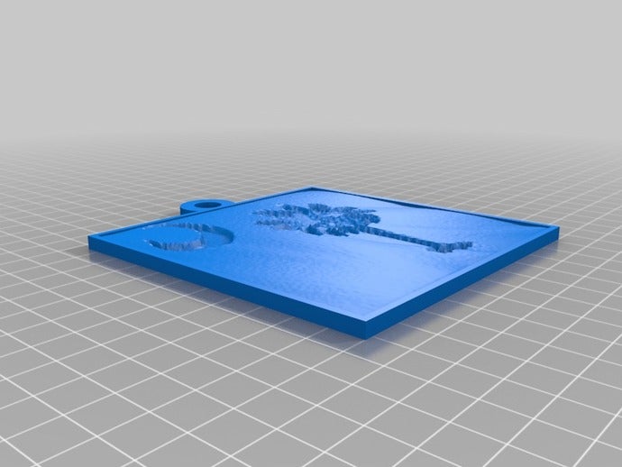 south carolina flag lithopane 2d art customized 3D print model - Mito3D