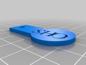 meine kundenspezifische Münze fob Haushalt kundengebundene 3d print model - Mito3D