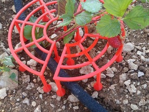support fraisier strawberry outdoor & garden 3d print model - Mito3D