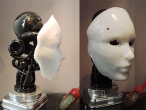 robin 1 sculptures brain cyborg ex machina girl robot woman 3d print model - Mito3D