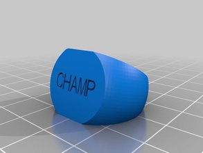 champ ring rings customized 3d print model - Mito3D