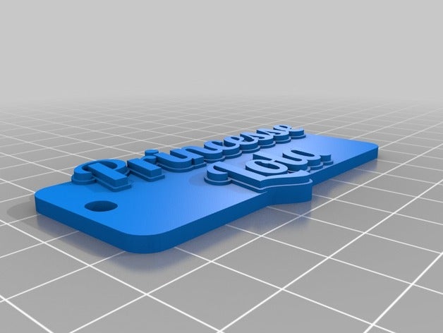 özelleştirilmiş çok satırlı etiket anahtarlığım organizasyon 3D print model - Mito3D