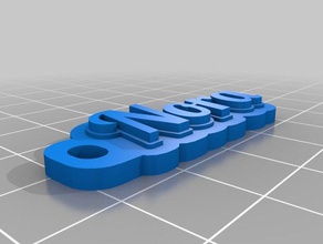nora personalizado de várias linhas tag porta-chaves organização 3d print model - Mito3D