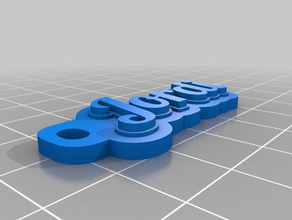 jordi personalizado de várias linhas tag porta-chaves organização 3d print model - Mito3D