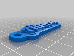 ainoa personalizado de várias linhas tag porta-chaves organização 3d print model - Mito3D