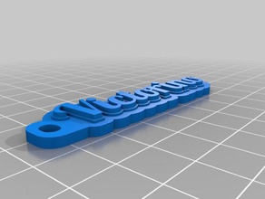 victorino customized multiline tag keychain organization 3d print model - Mito3D