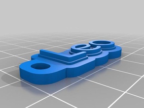 leo keychain organization customized 3d print model - Mito3D