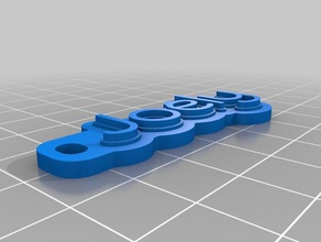 joely keychain organization customized 3d print model - Mito3D