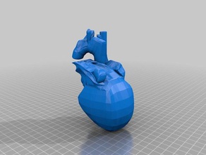 cuore umano anatomica sculture anatomicsa umana 3d print model - Mito3D
