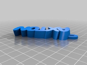 axton llavero organización personalizado 3d print model - Mito3D