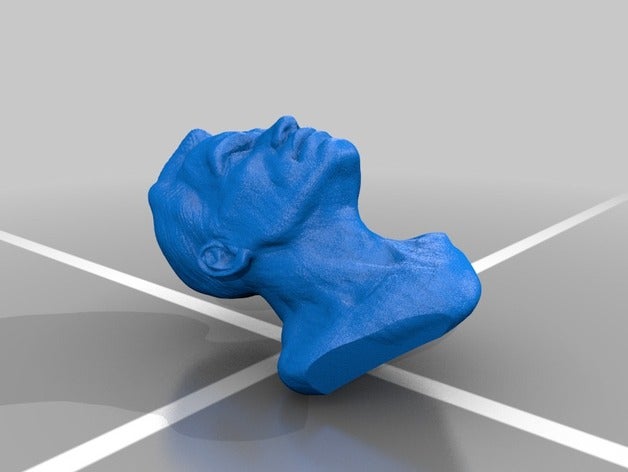 arnold schwarzenegger busto pessoas 3D print model - Mito3D