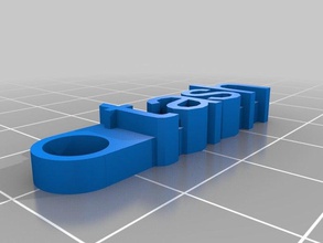 tash trousseau de clés l'organisation personnalisé 3d print model - Mito3D