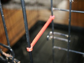 animaux de la porte cage séjour les compagnie 3d print model - Mito3D