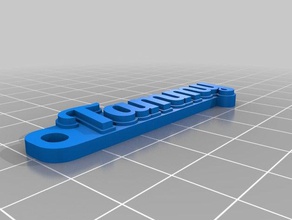 tammy customized multiline tag keychain organization 3d print model - Mito3D