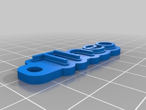 theo llavero organización personalizado 3d print model - Mito3D