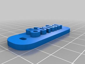 s nia organizasyon özelleştirilmiş 3d print model - Mito3D
