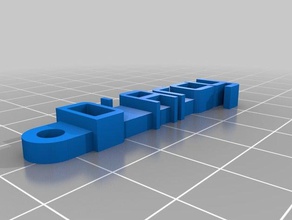 d'arcy keychain organization customized 3d print model - Mito3D
