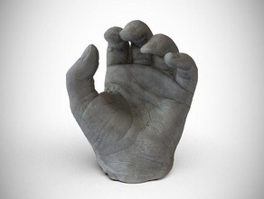 hollies hands 3d scanned scans & replicas agisoft photoscan fingers hand photogammetry plaster prosthetic scan 3d print model - Mito3D