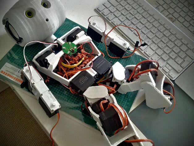 rb-0t - humanoid robot model robots arduino nao raspberry pi servo usc- usc32 3D print model - Mito3D