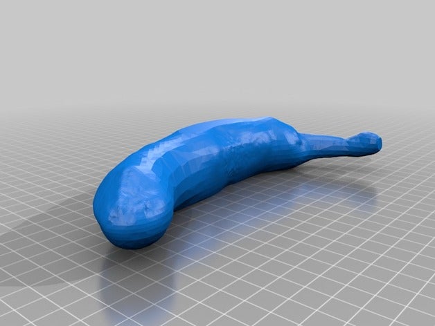 el plátano exploraciones & réplicas makerbotdigitizer scan 3D print model - Mito3D
