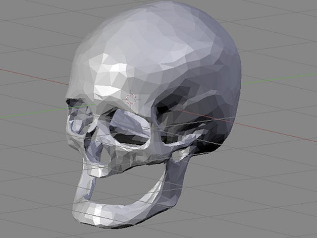 dominics skull other 3d blender bones experiment head human mri scan 3D print model - Mito3D