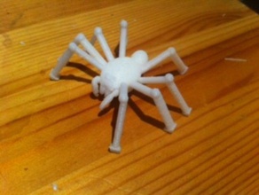 spider modello animali 3d print model - Mito3D
