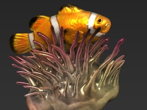 clownfish anemone animals animal clownfish clownfish anemone fish model sea anemone