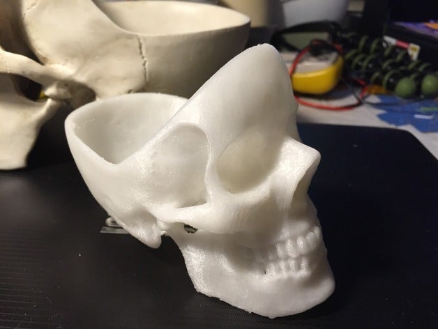 skull ashtray biology 3dscan human 3D print model - Mito3D