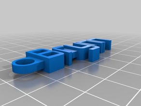 brynn burton keychain organization customized 3d print model - Mito3D