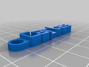 carles keychain organization customized 3d print model - Mito3D