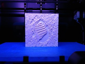 buzz aldrins Fußabdruck Modelle 3d print model - Mito3D