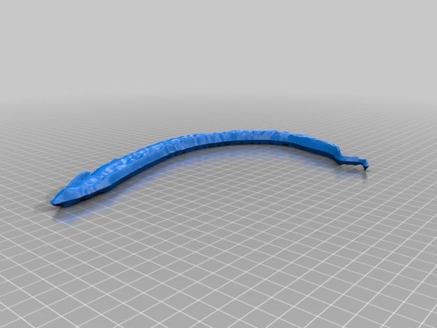 nippostrongylus brasiliensis de la biologie gimp imagej nippo openscad parasite 3D print model - Mito3D