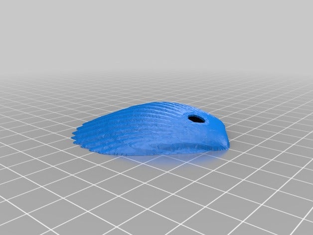 CPU deniz kabuğu 3d baskı 3D print model - Mito3D