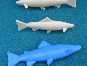 model fish - trout animals openscad 3d print model - Mito3D