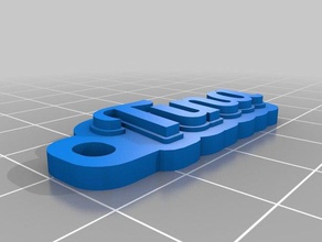tina organizasyon özelleştirilmiş 3d print model - Mito3D