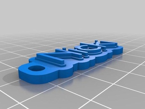 nicki Schlüsselbund - Organisation kundengebundene 3d print model - Mito3D