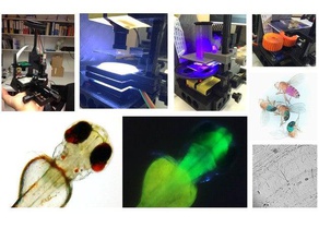 100 laboratuvar floresan mikroskop ve davranışsal tracker optogenetics biyoloji lightitup 3d print model - Mito3D