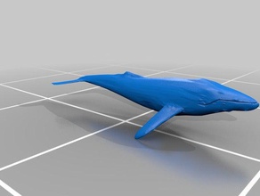 buckelwal animais baleia jubarte 3d print model - Mito3D