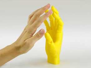 jointed hand models articulated joint 3d print model - Mito3D