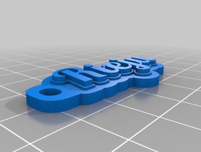 gabriel rieju de l'organisation personnalisé 3d print model - Mito3D