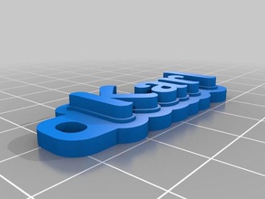 karl de l'organisation personnalisé 3d print model - Mito3D