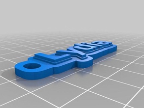 lydia organization customized 3d print model - Mito3D