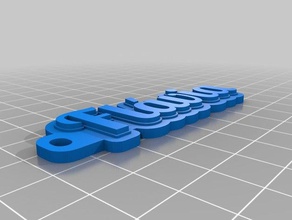 fl via organization customized 3d print model - Mito3D