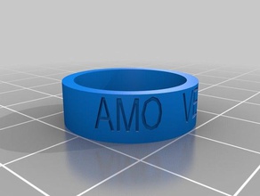 amo verao rings customized 3d print model - Mito3D