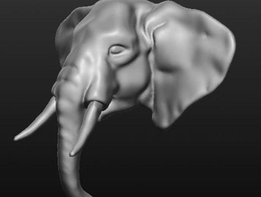 elephant head animals 3d print model - Mito3D