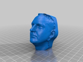 il mio 3d ritratto persone 3d print model - Mito3D