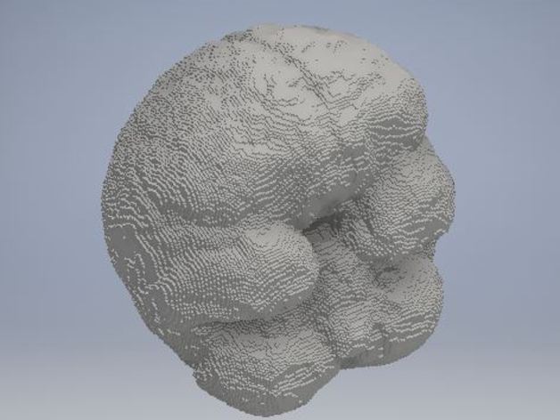 du cerveau personnes corps la numérisation 3D print model - Mito3D